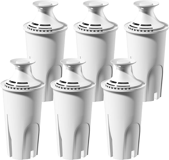 Water Filter Replacement